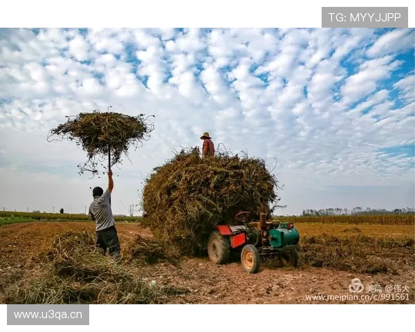 杨威家里那冰箱到底塞了多少蛋白粉啊，快赶上他训练强度了吧